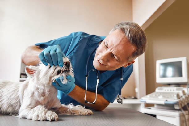Best Weekend Emergency Dentist in Kelso, WA